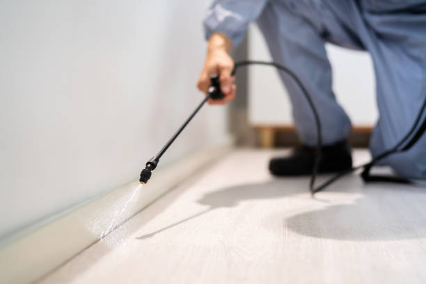 Licensed Rodent Control service in Ossian, IN - Nex Pest Control
