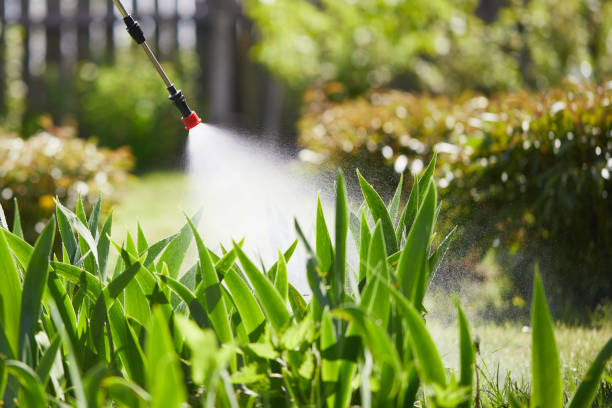 24/7 Emergency Rodent Control experts in Ossian, IN
