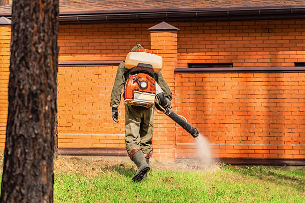 Trusted Termite Control service in Ossian, IN - Nex Pest Control